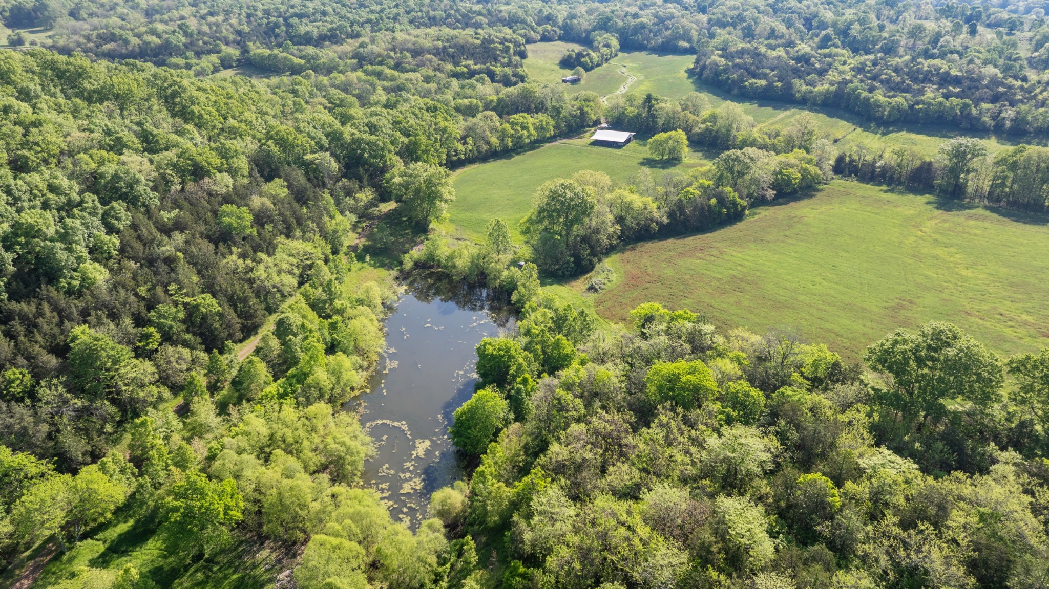 605 Red Oak Road Petersburg, TN 37144 - Photo 41 of 98 a view of a garden with an outdoor space