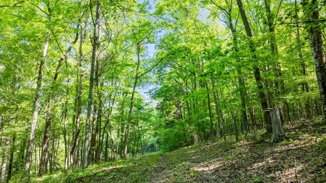 $34,500,000 | 605 Red Oak Road, Petersburg, TN 37144