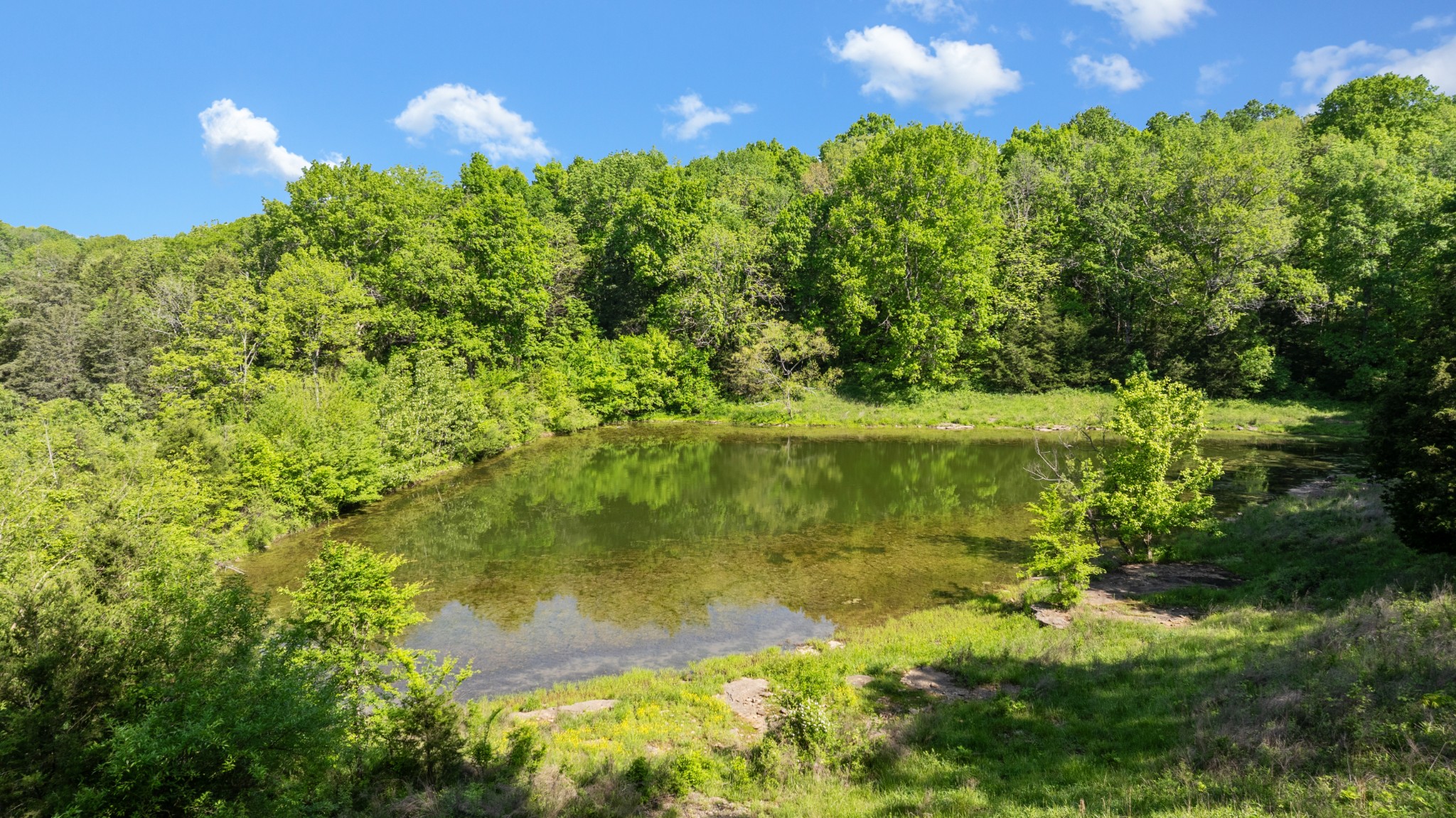 605 Red Oak Road Petersburg, TN 37144 - Photo 55 of 98 a view of a lake with a yard