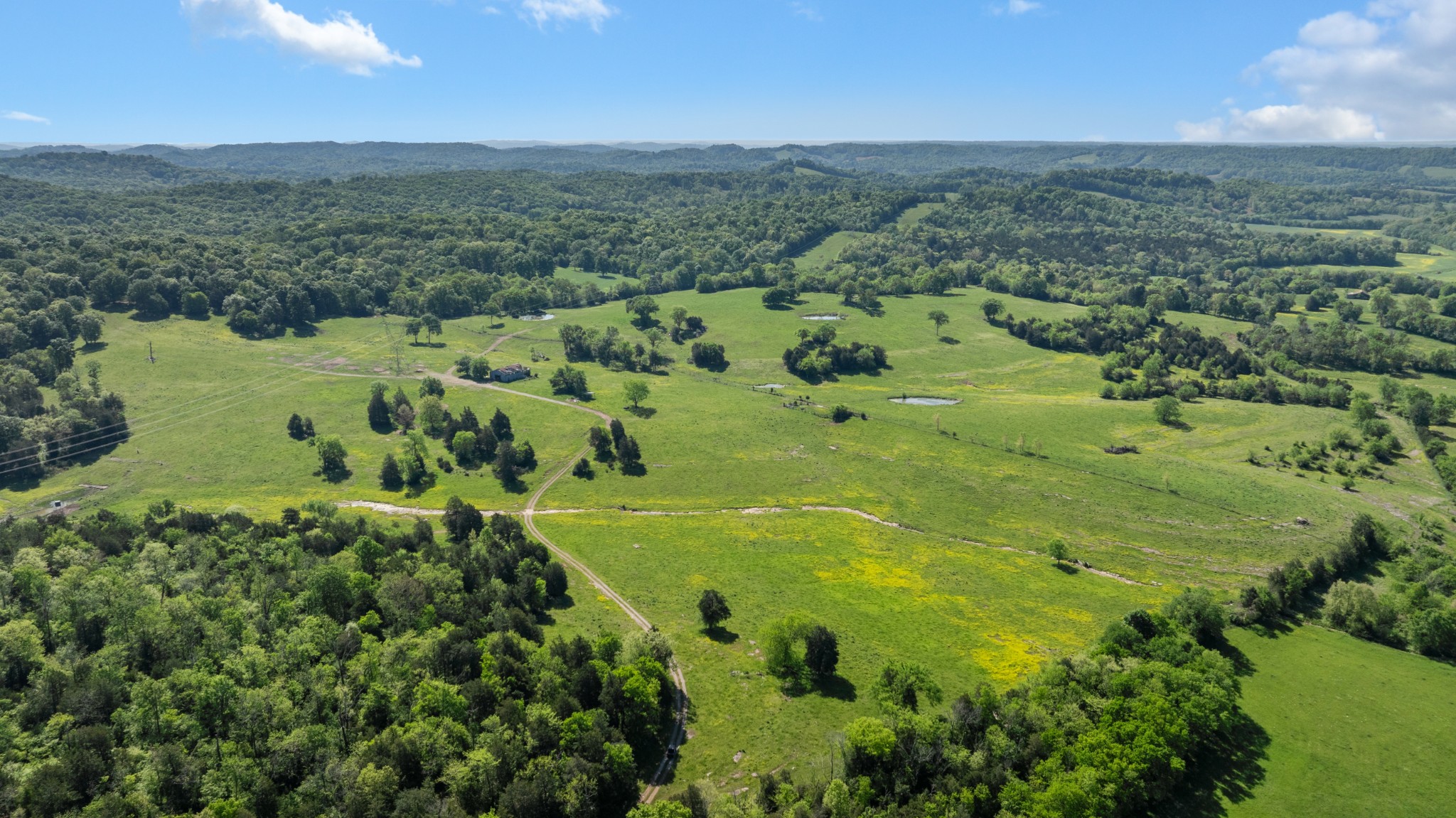 605 Red Oak Road Petersburg, TN 37144 - Photo 59 of 98