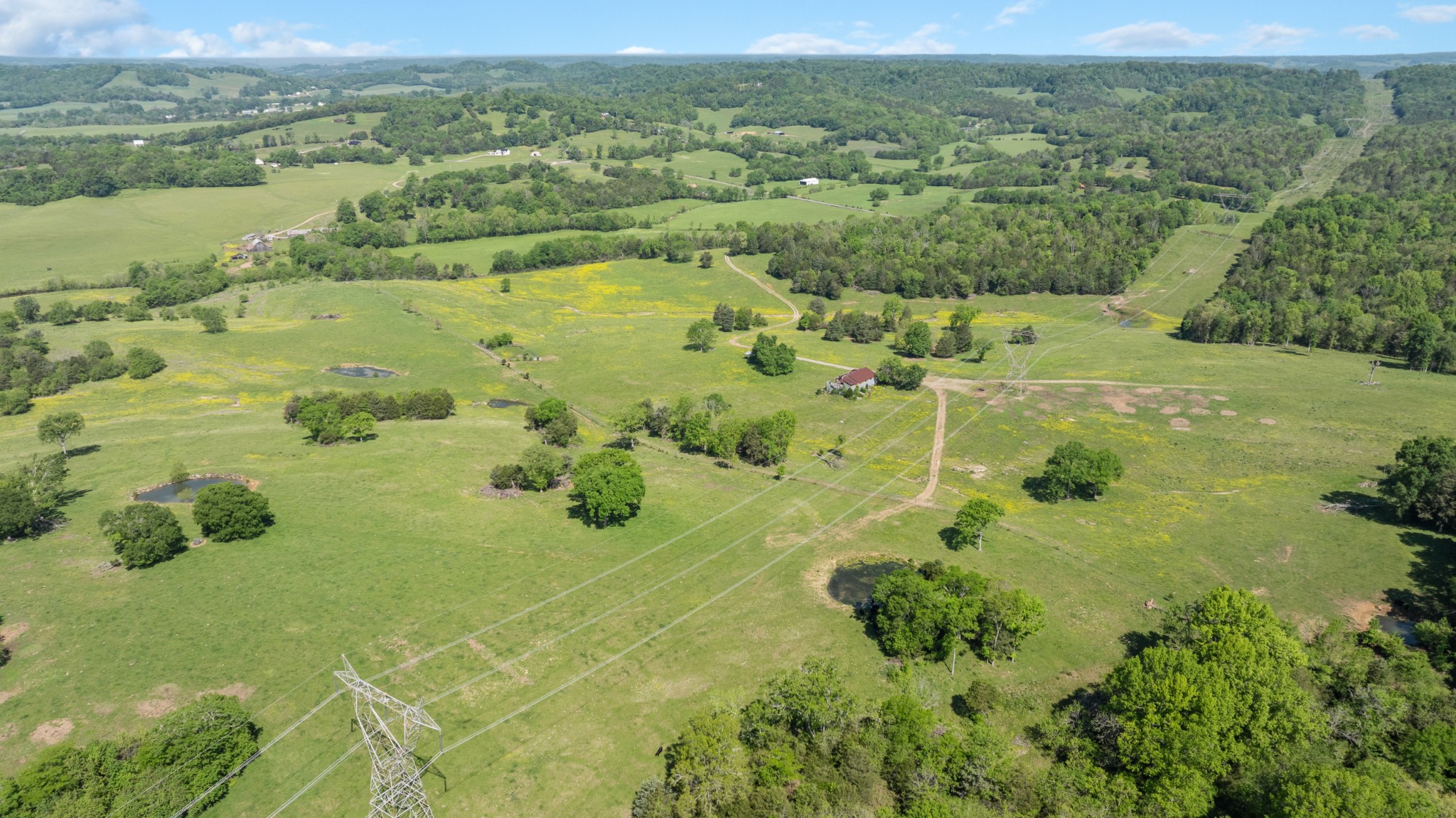 605 Red Oak Road Petersburg, TN 37144 - Photo 60 of 98 a view of a lake with a mountain