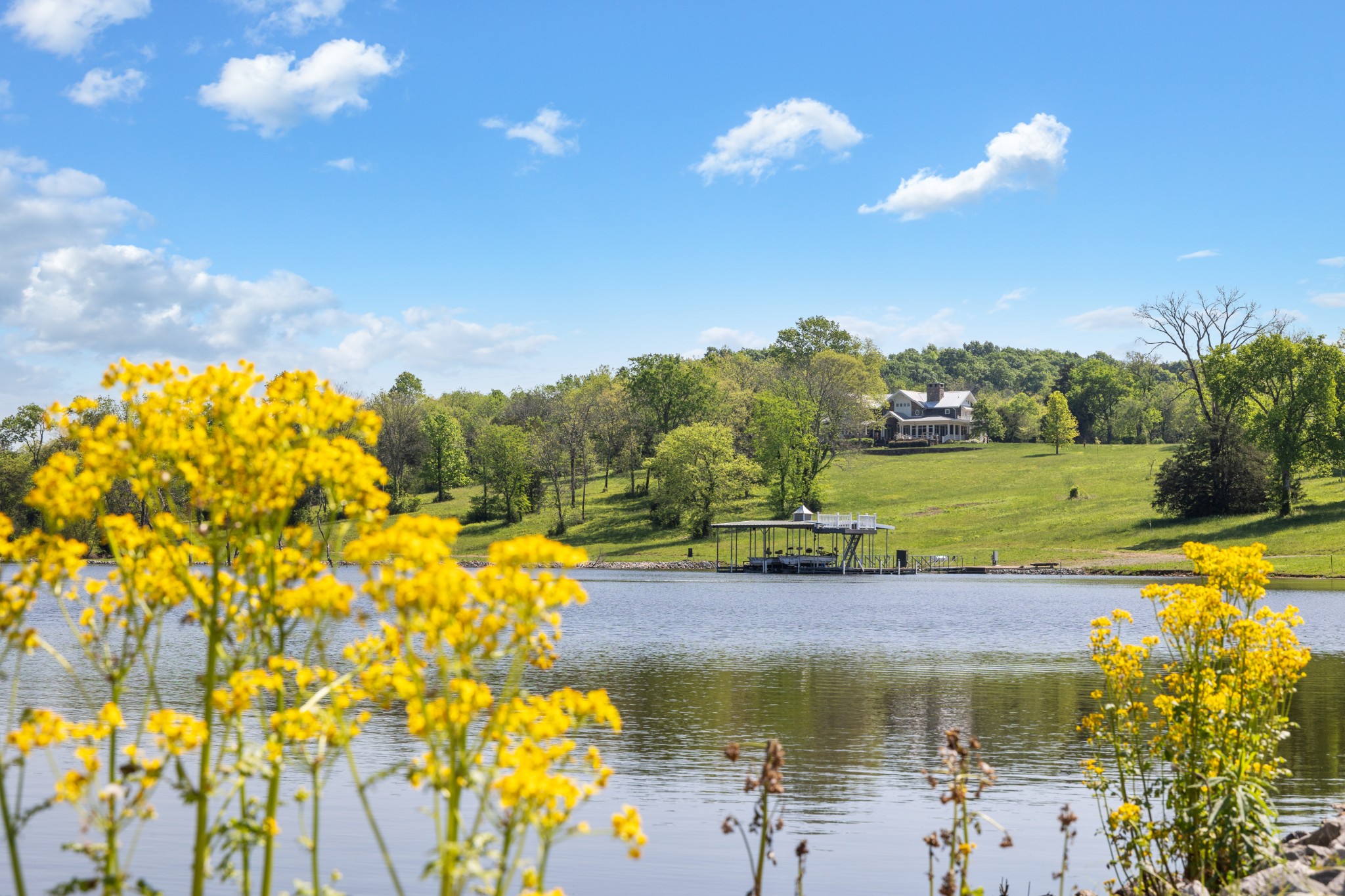 605 Red Oak Road Petersburg, TN 37144 - Photo 62 of 98 a view of a lake with a yard