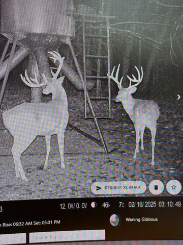 $34,500,000 | 605 Red Oak Road, Petersburg, TN 37144