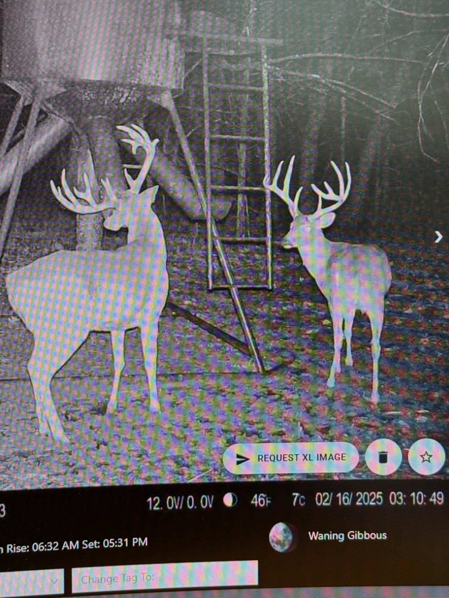 605 Red Oak Road Petersburg, TN 37144 - Photo 94 of 98