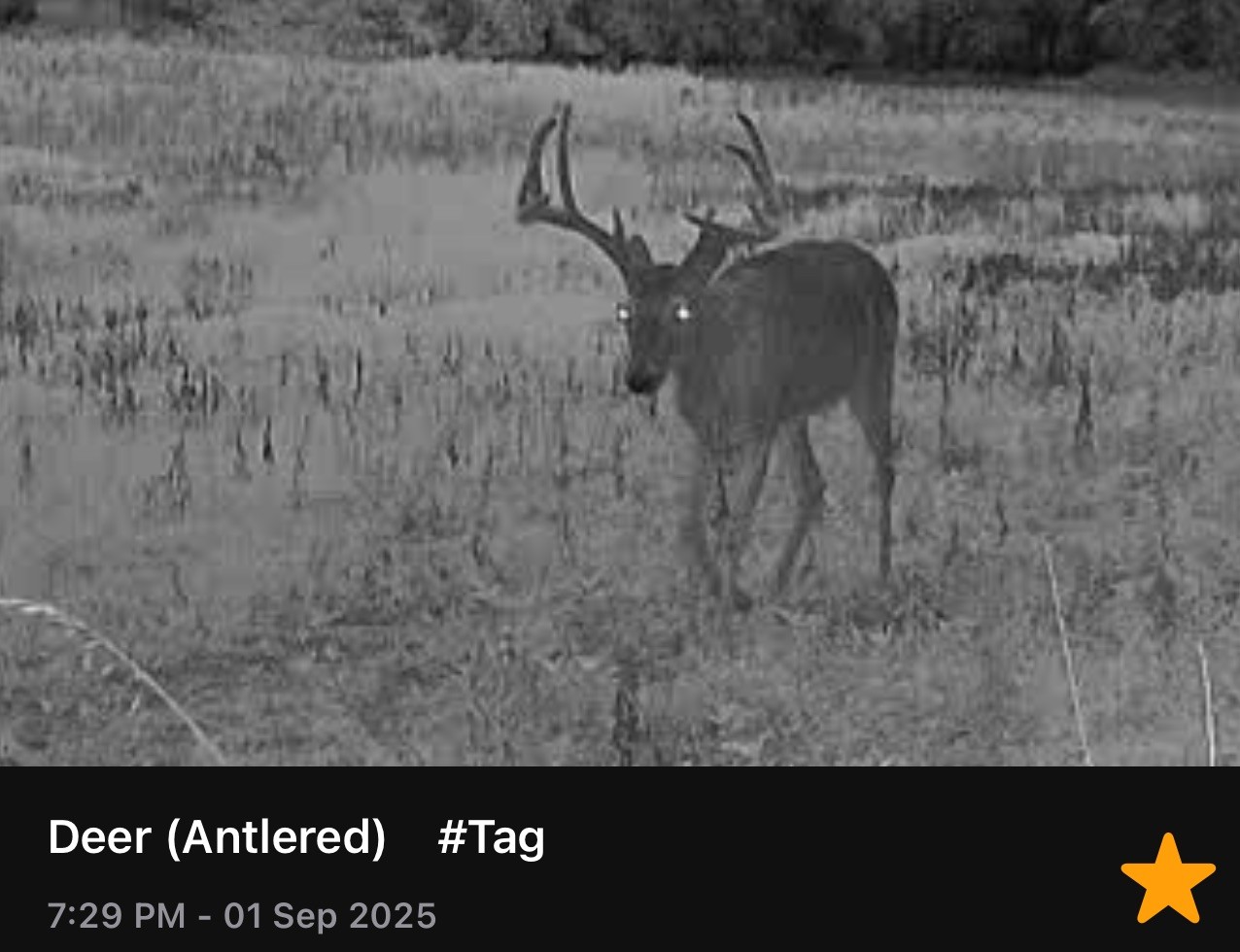 605 Red Oak Road Petersburg, TN 37144 - Photo 95 of 98