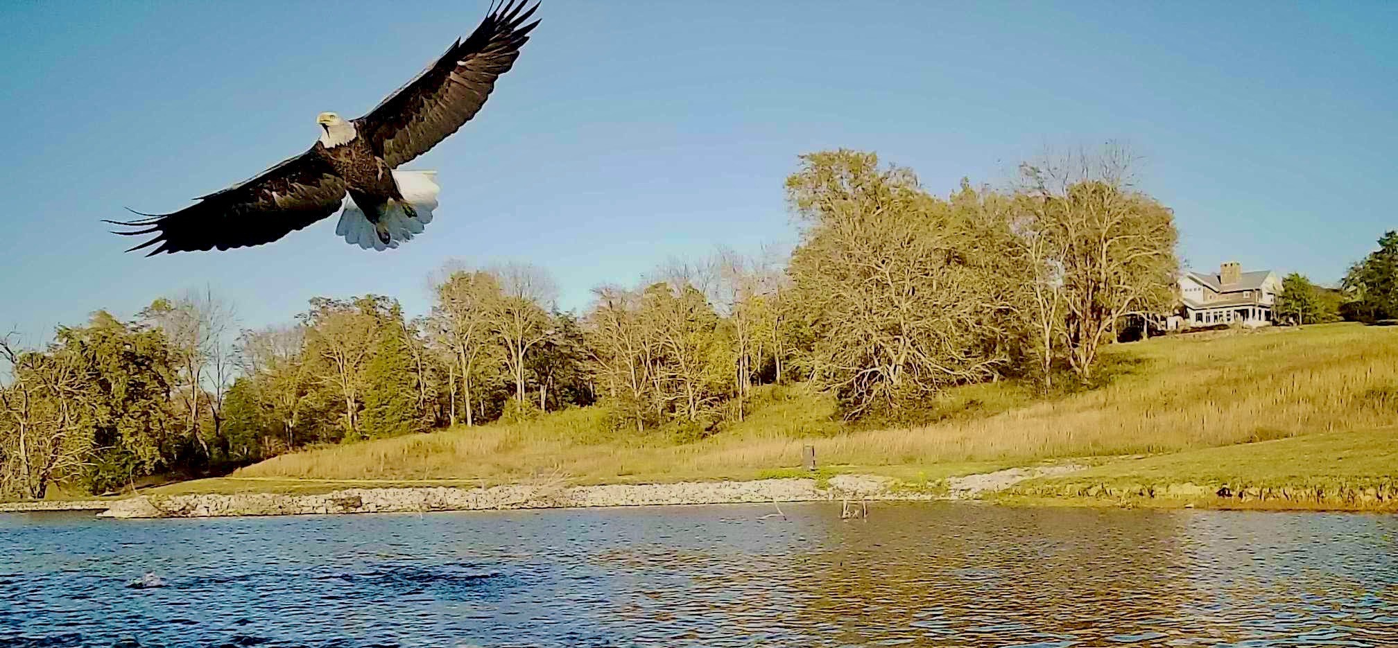 605 Red Oak Road Petersburg, TN 37144 - Photo 98 of 98