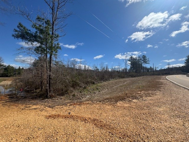 1111 Mt Olive Road Southeast Bogue Chitto, MS 39629 - Photo 4 of 13 Photo 4