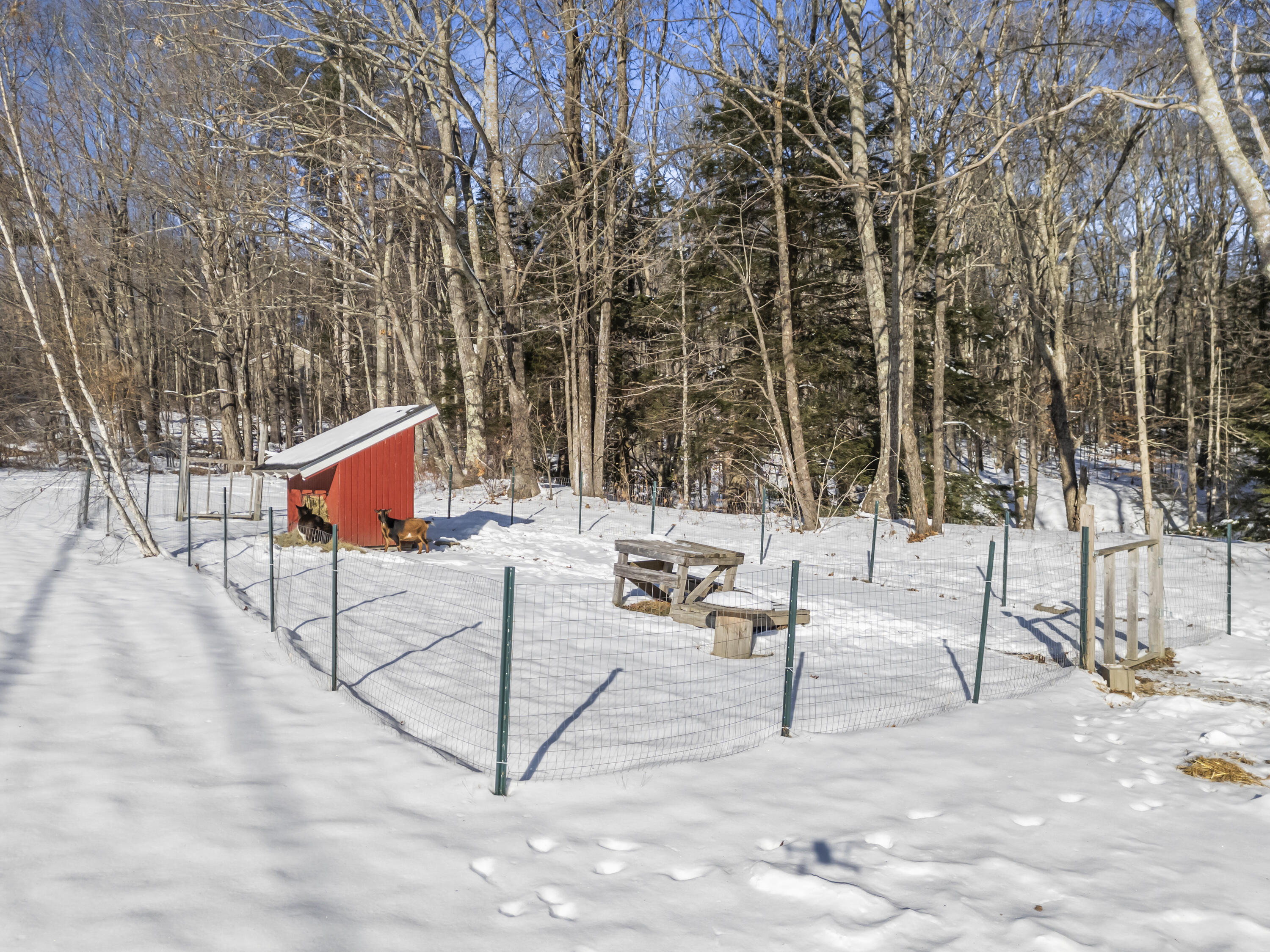 81 Lewis Hill Road Bowdoin, ME 04287 - Photo 36 of 37 81 Lewis Hill Rd_133