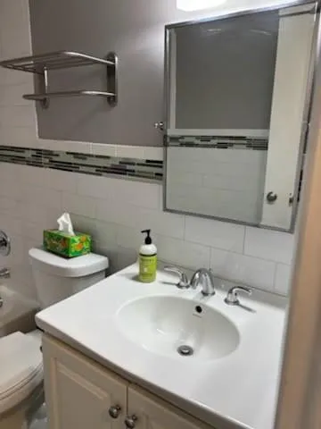 a bathroom with a sink and a toilet