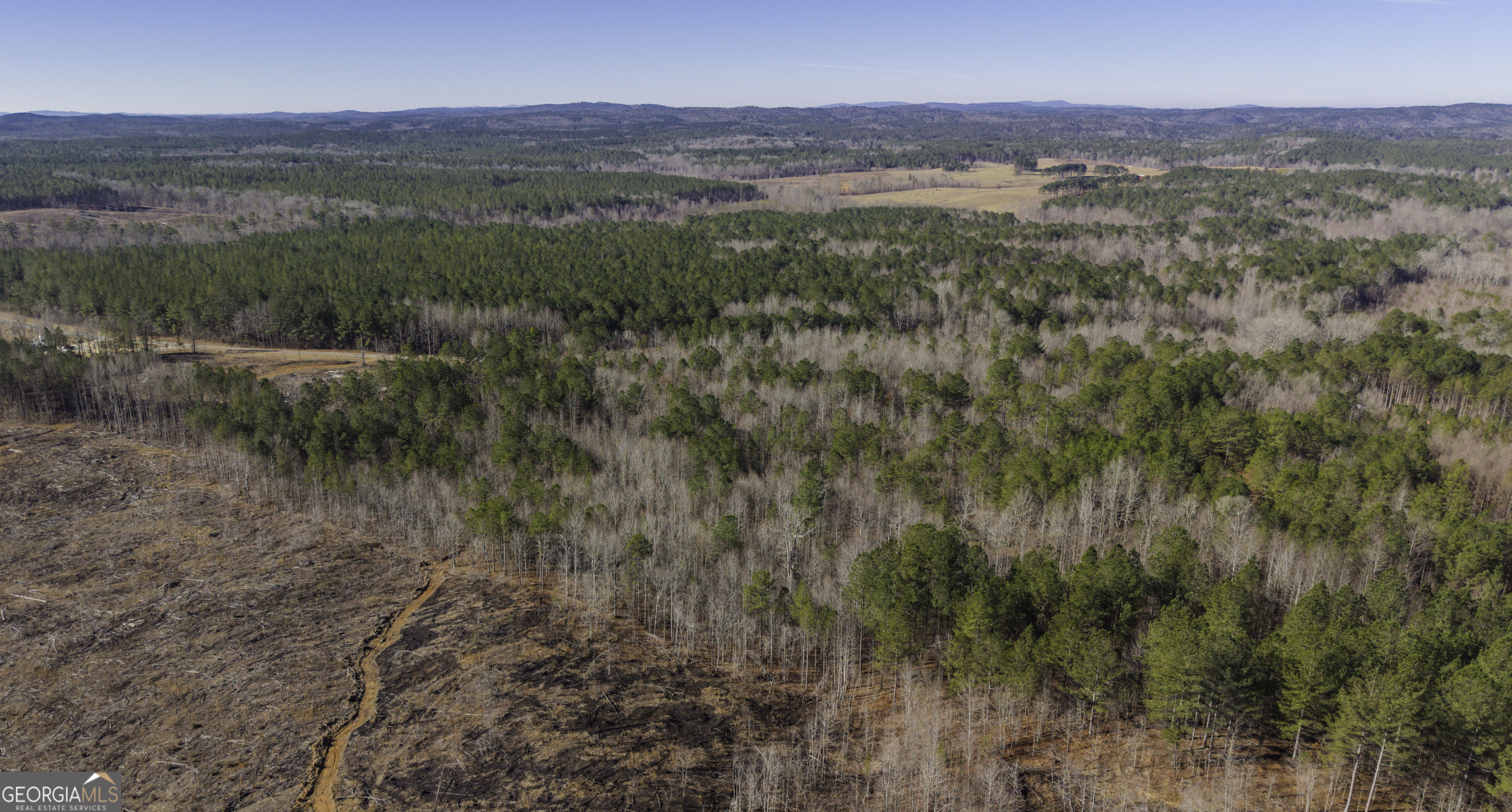 0 County Road 49 Fruithurst, AL 36262 - Photo 13 of 15