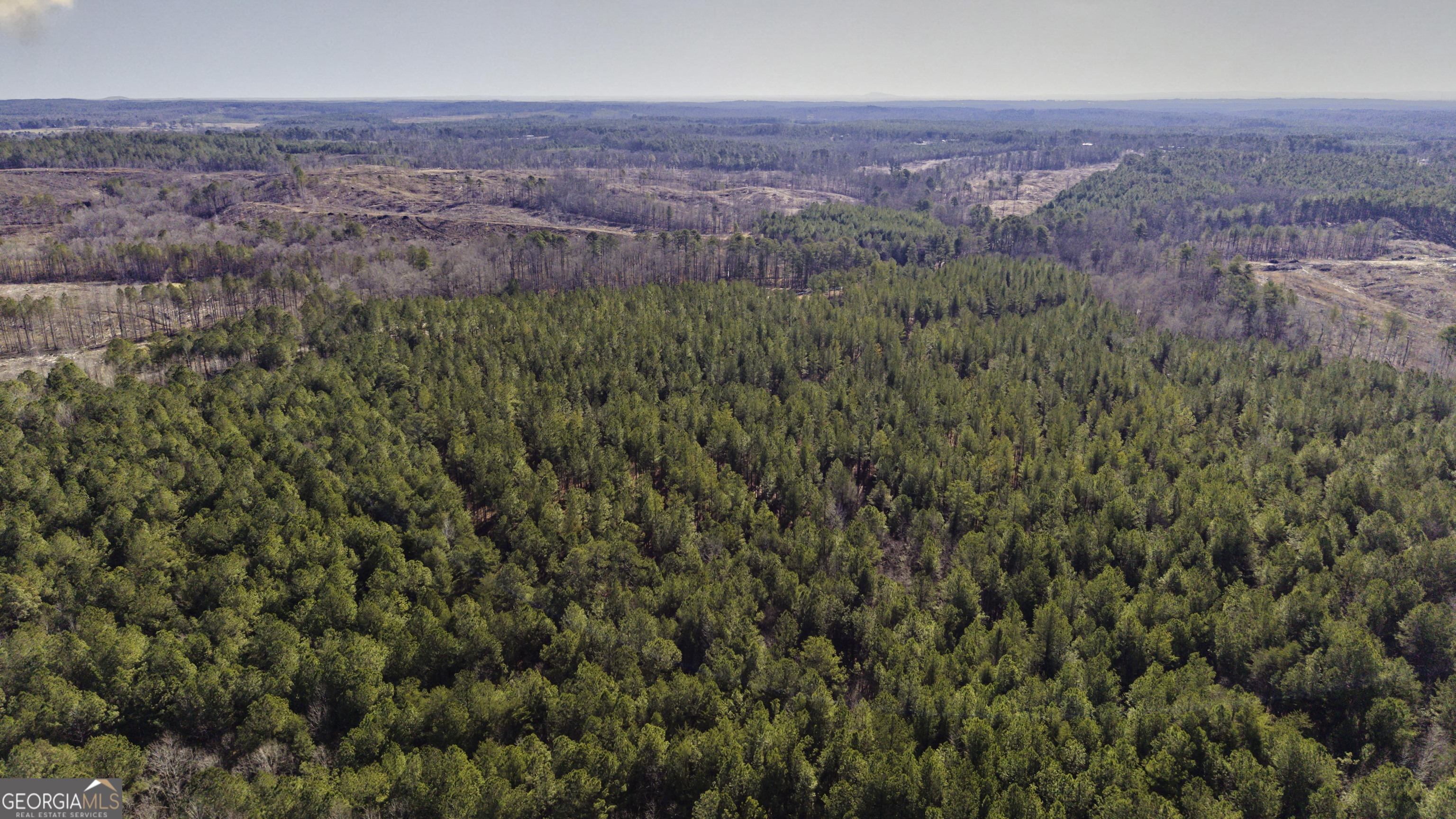 0 County Road 49 Fruithurst, AL 36262 - Photo 14 of 15