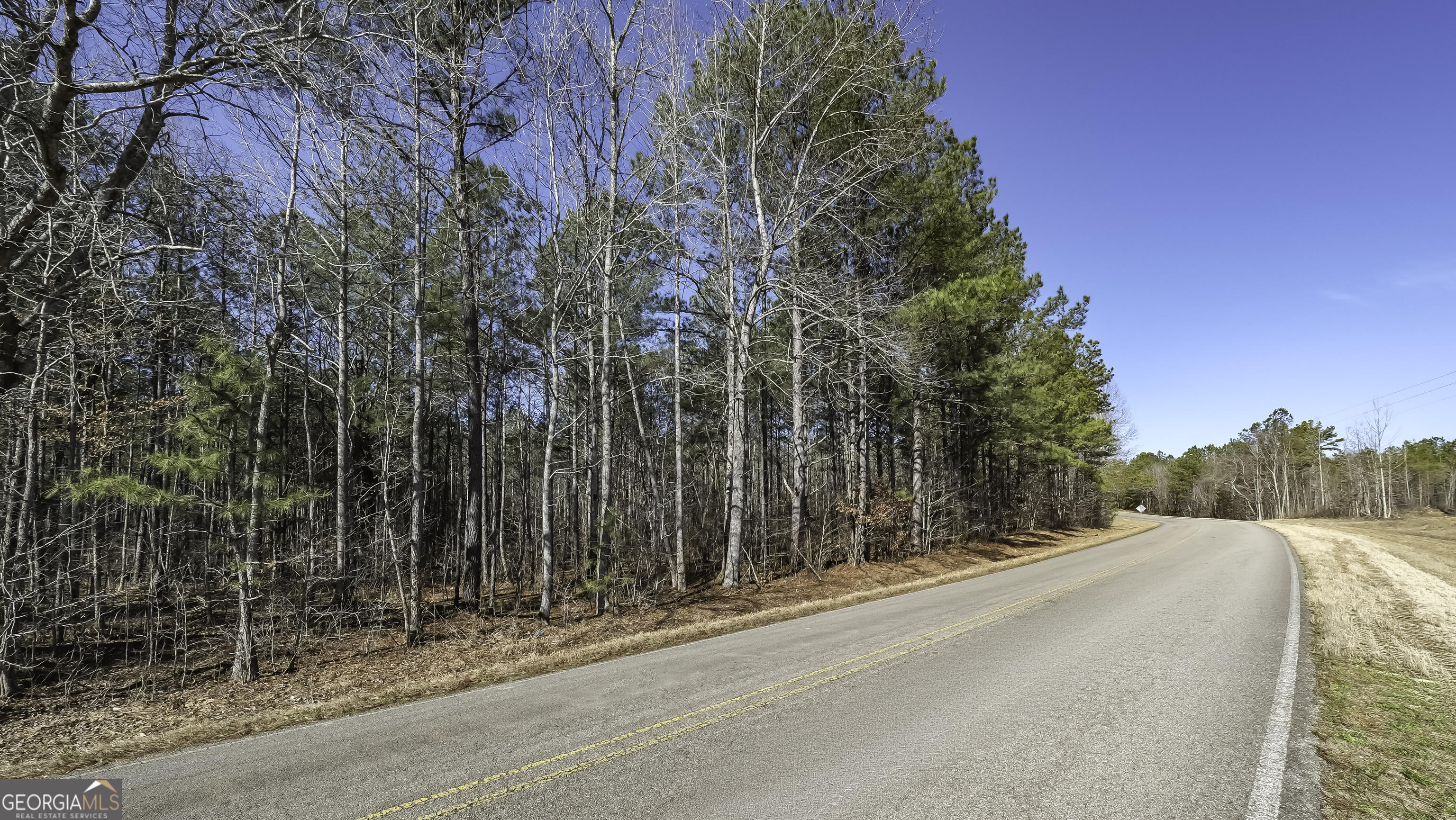 0 County Road 49 Fruithurst, AL 36262 - Photo 2 of 15