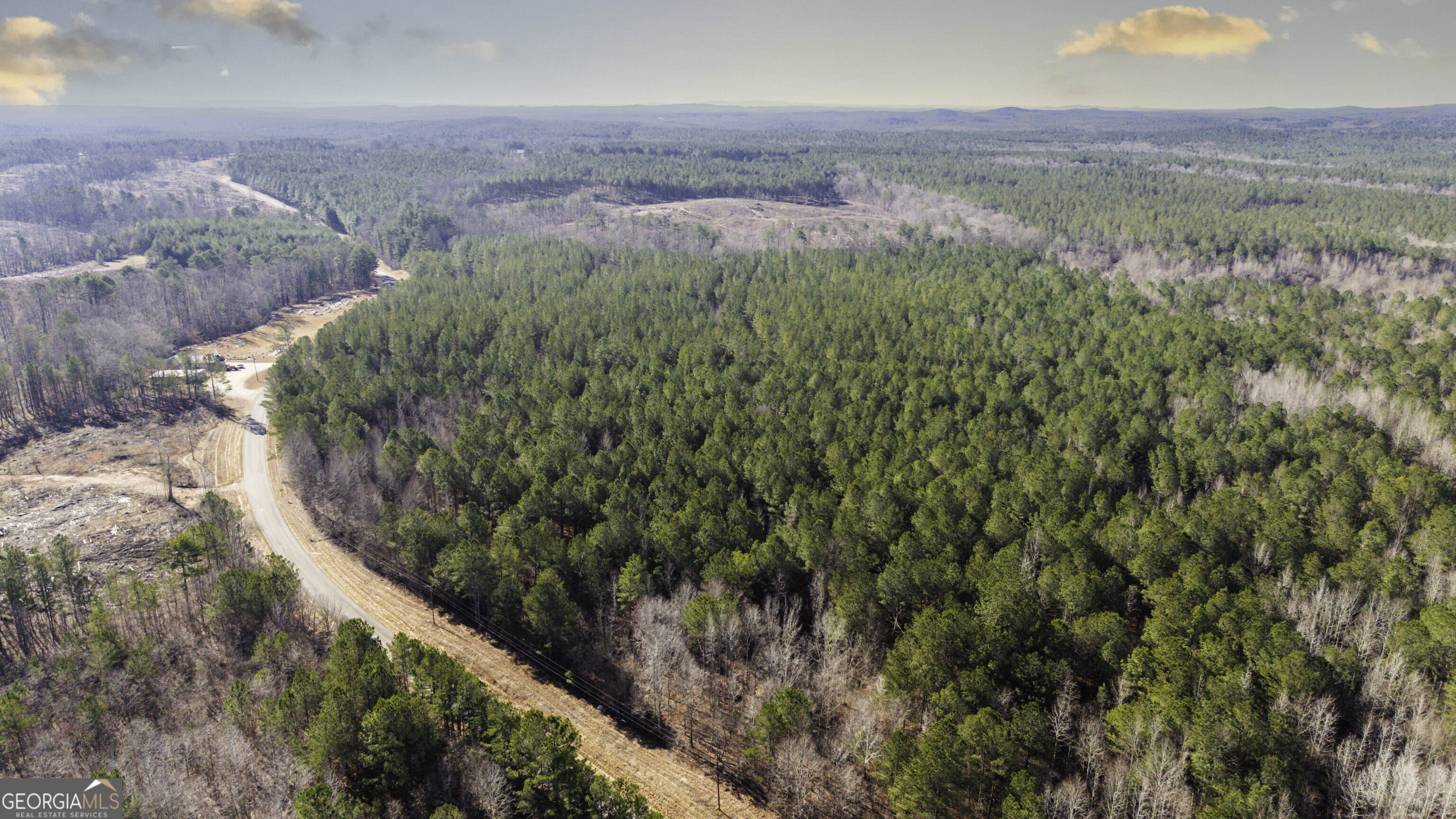 0 County Road 49 Fruithurst, AL 36262 - Photo 4 of 15