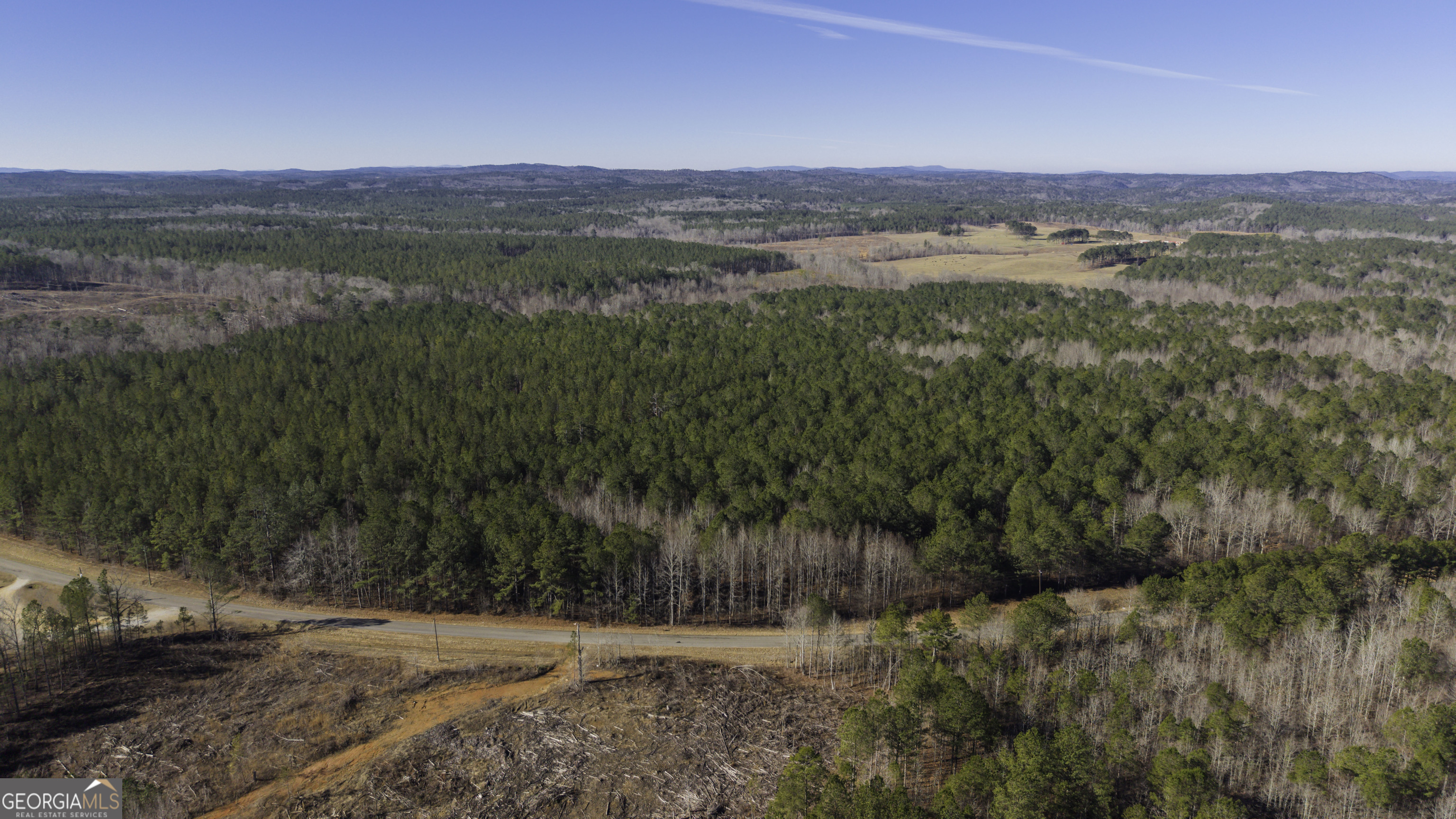 0 County Road 49 Fruithurst, AL 36262 - Photo 5 of 15