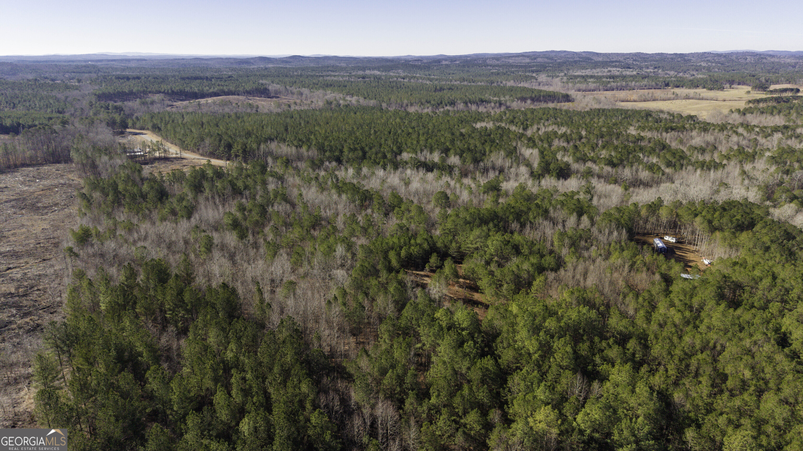 0 County Road 49 Fruithurst, AL 36262 - Photo 7 of 15