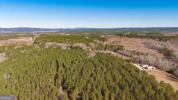 $1,500,000 | 0 County Road 49, Fruithurst, AL 36262