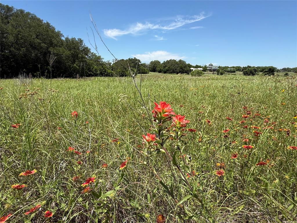 601 Chestnut Street Hico, TX 76457 - Photo 10 of 17