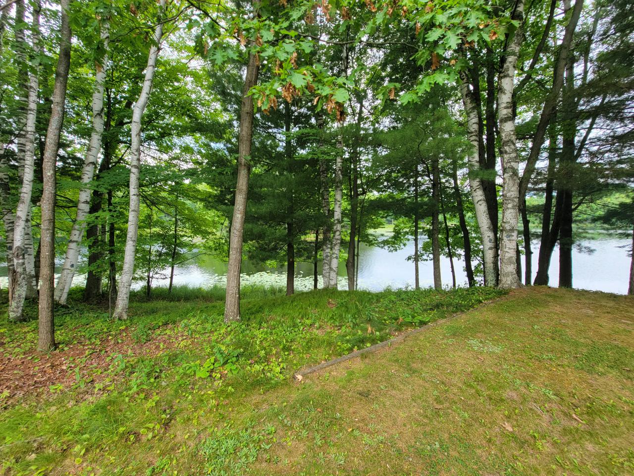 N6598 Neva Lake Road Deerbrook, WI 54424 - Photo 17 of 61 Gallery Image 17