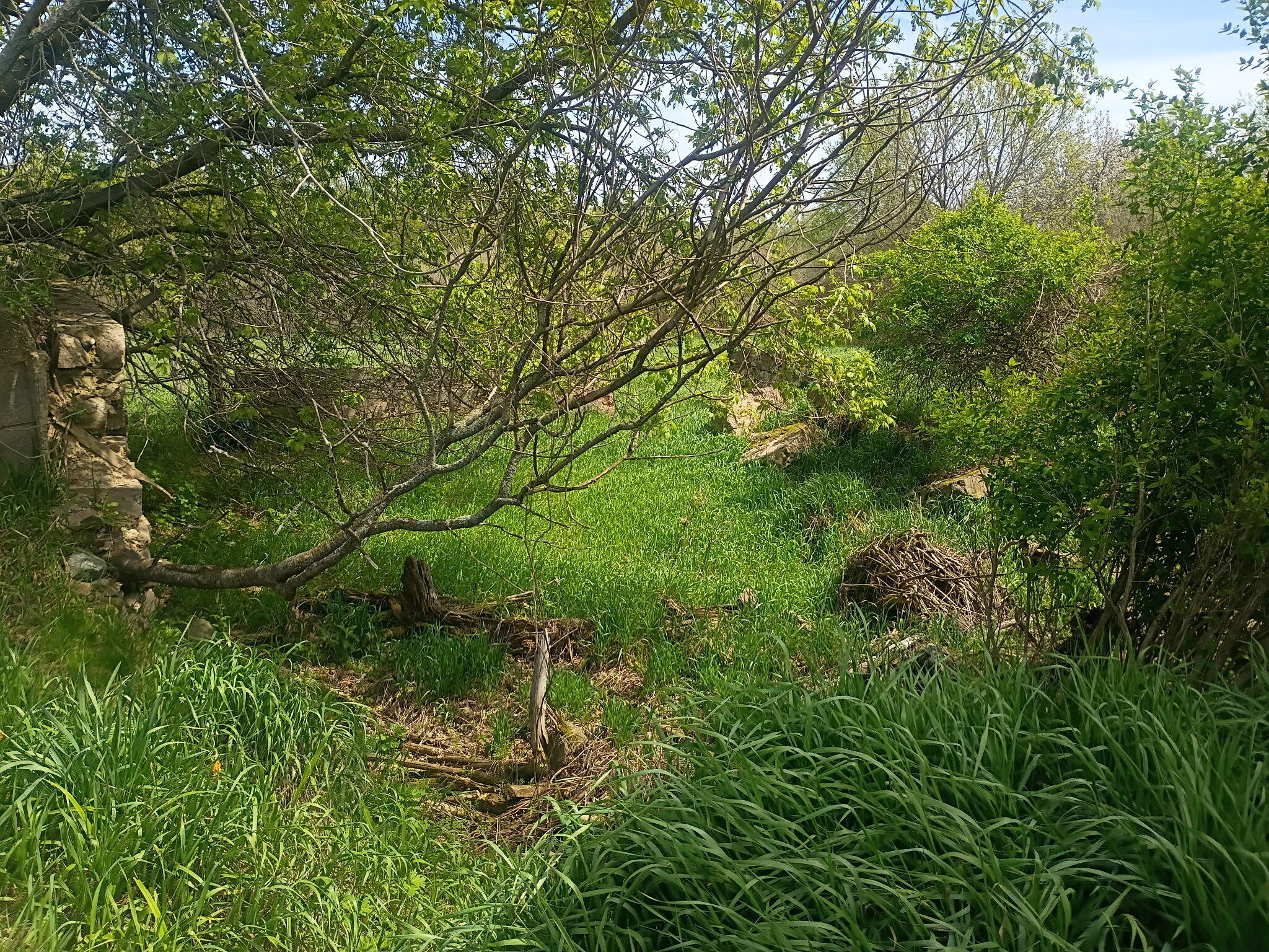 7015 East Harrison Road Walkerville, MI 49459 - Photo 20 of 23 IMG_20260530_145742 (12)