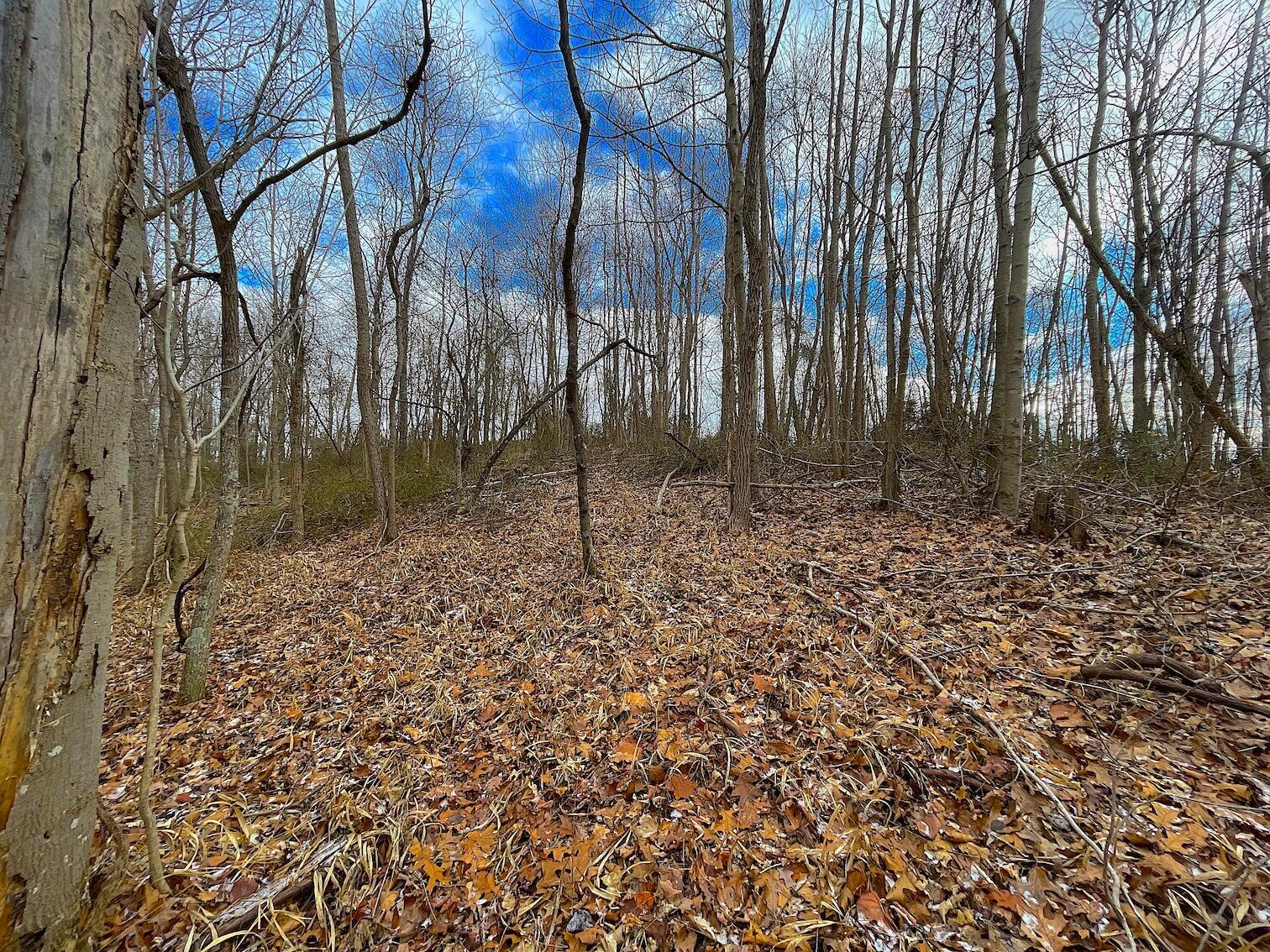 0 Hunting Run Road Lucasville, OH 45648 - Photo 18 of 39 IMG_0550