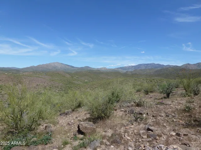 a view of a mountain range with trees in the background