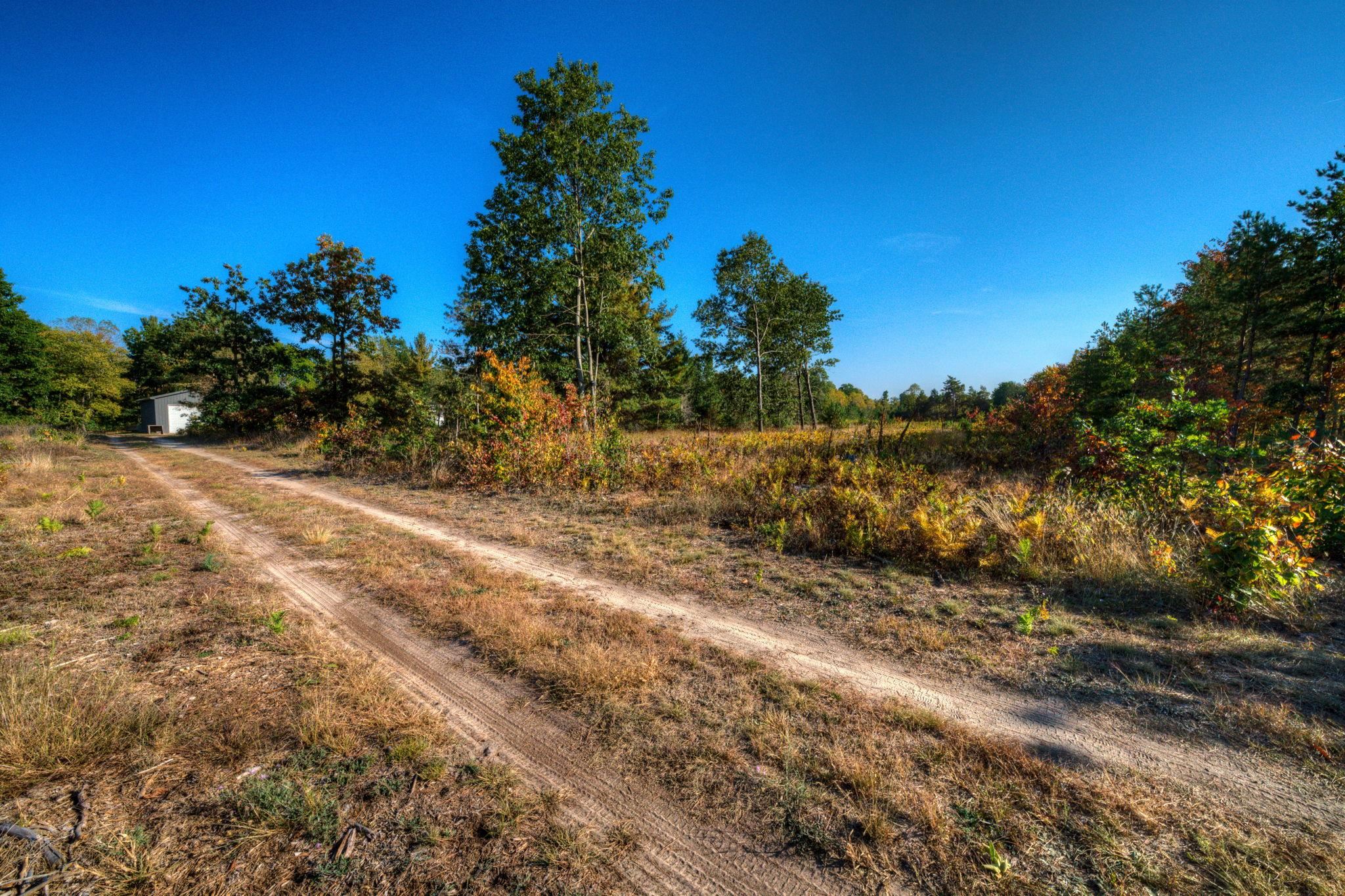 755 North Carmean Road Interlochen, MI 49643 - Photo 41 of 65