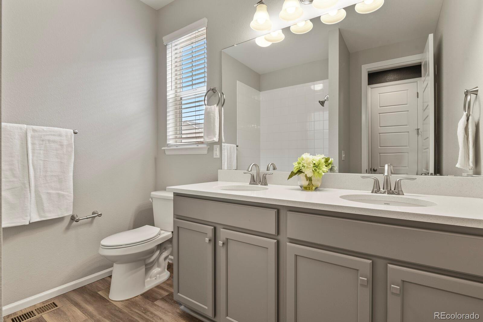 5723 Berry Ridge Wy. Castle Rock, CO 80104 - Photo 28 of 48 a bathroom with a sink a toilet and a mirror