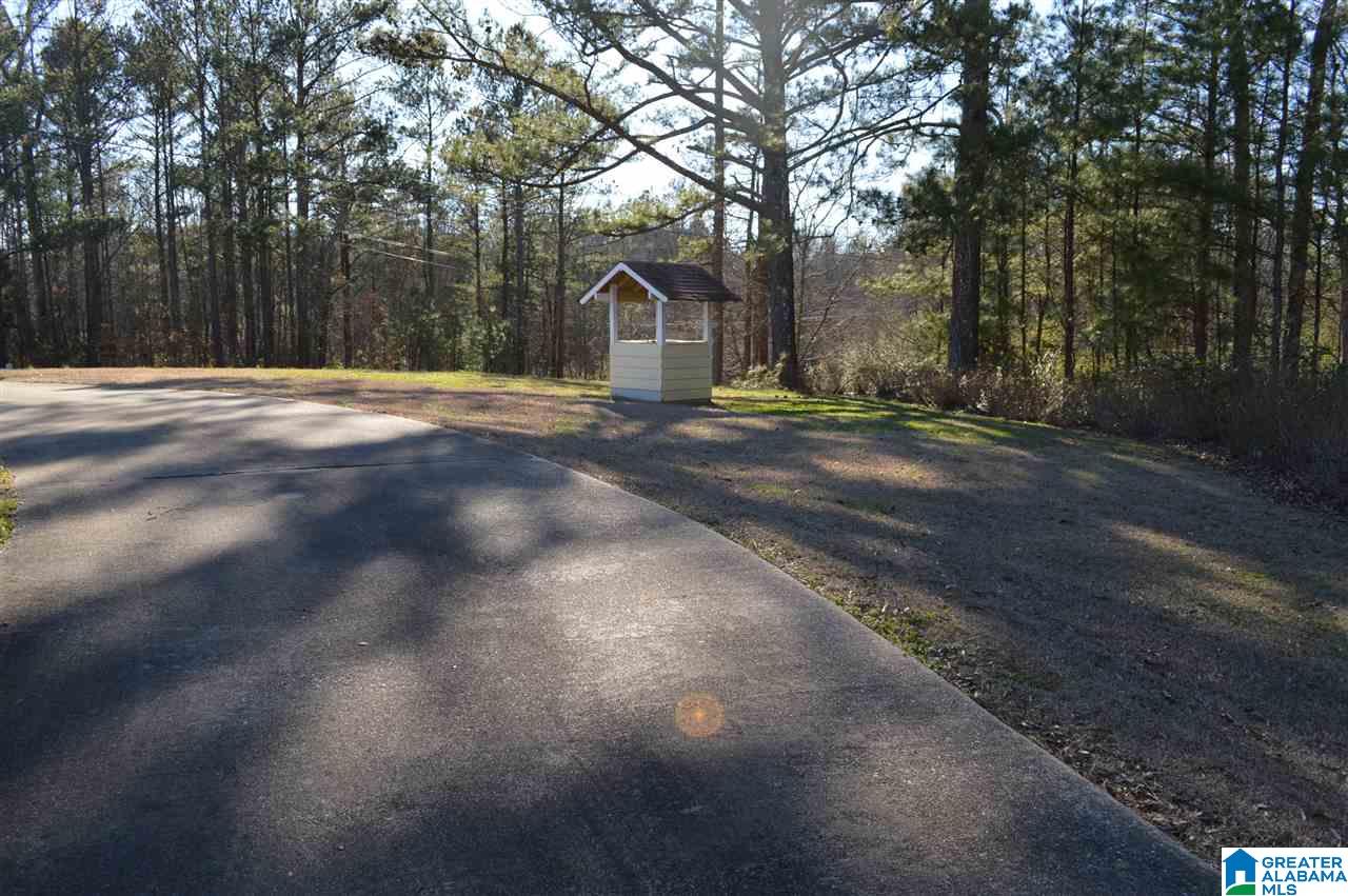 1900 Sanie Road Odenville, AL 35120 - Photo 44 of 48