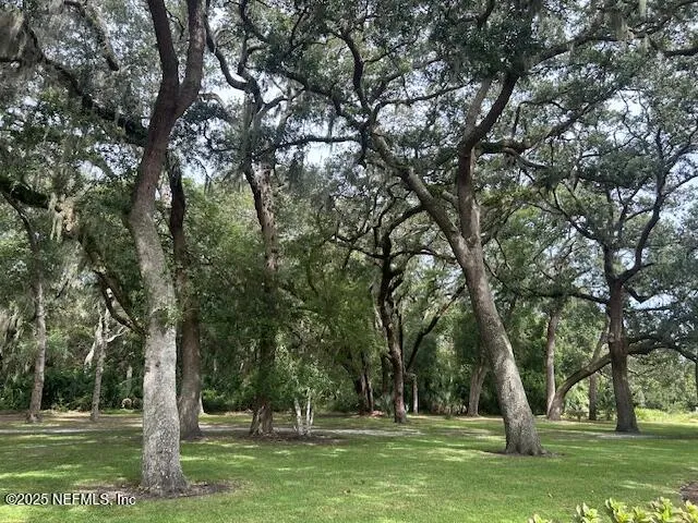 a view of a park with large trees