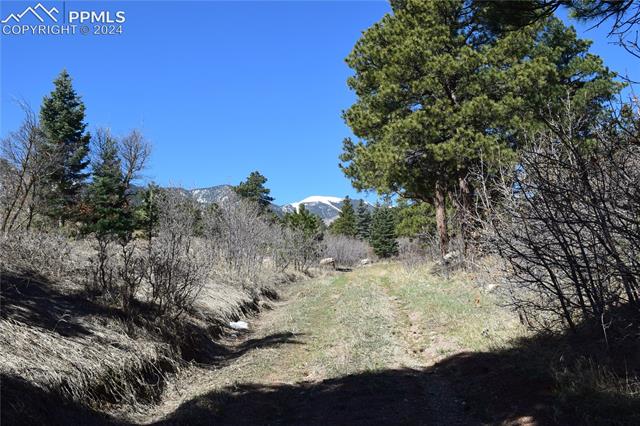 8500 Park Road Rye, CO 81069 - Photo 14 of 28 Gallery Image 14