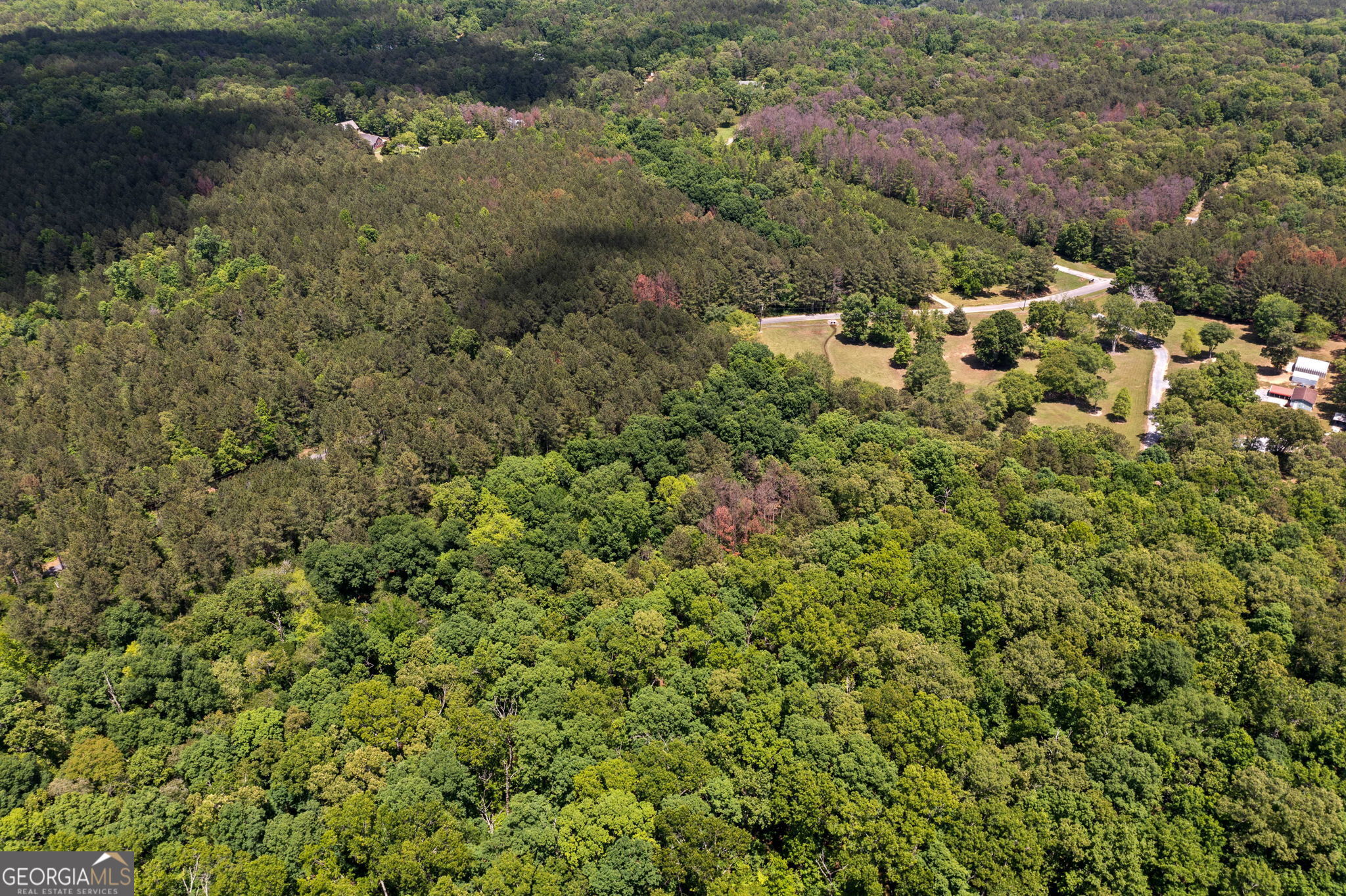 0 Timberwood Road Northwest, Unit 6 White, GA 30184 - Photo 11 of 26 a view of a forest with a houses