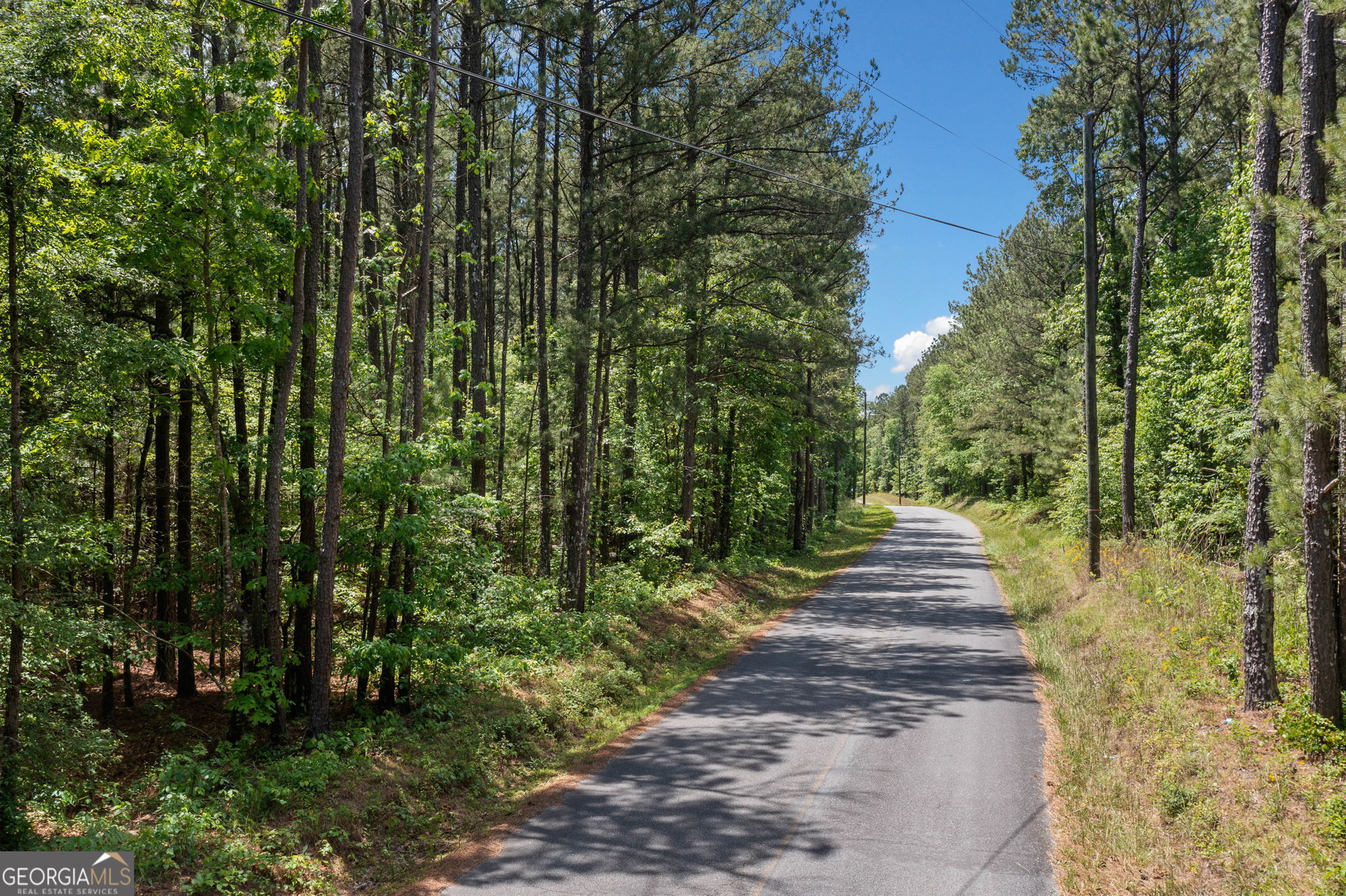 0 Timberwood Road Northwest, Unit 6 White, GA 30184 - Photo 7 of 26 a view of a yard with plants and large trees