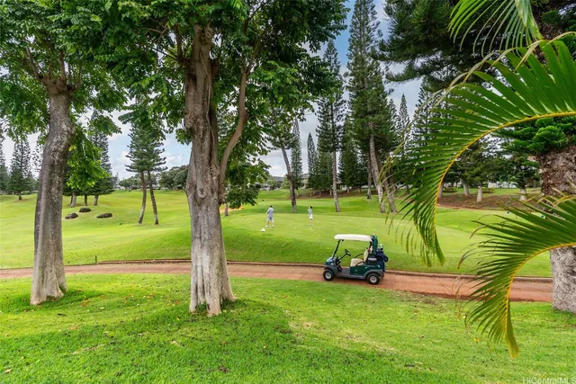 a view of a park with large trees