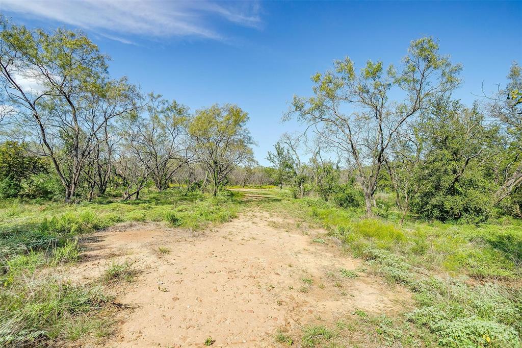 901 Remington Road Santo, TX 76472 - Photo 20 of 40 a view of backyard with green space