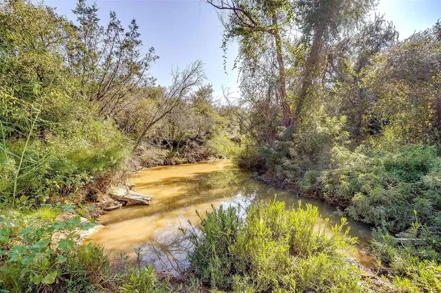 a view of yard with green space
