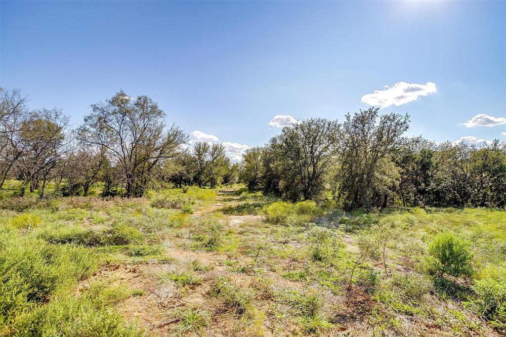 901 Remington Road Santo, TX 76472 - Photo 30 of 40 a view of a yard with a tree