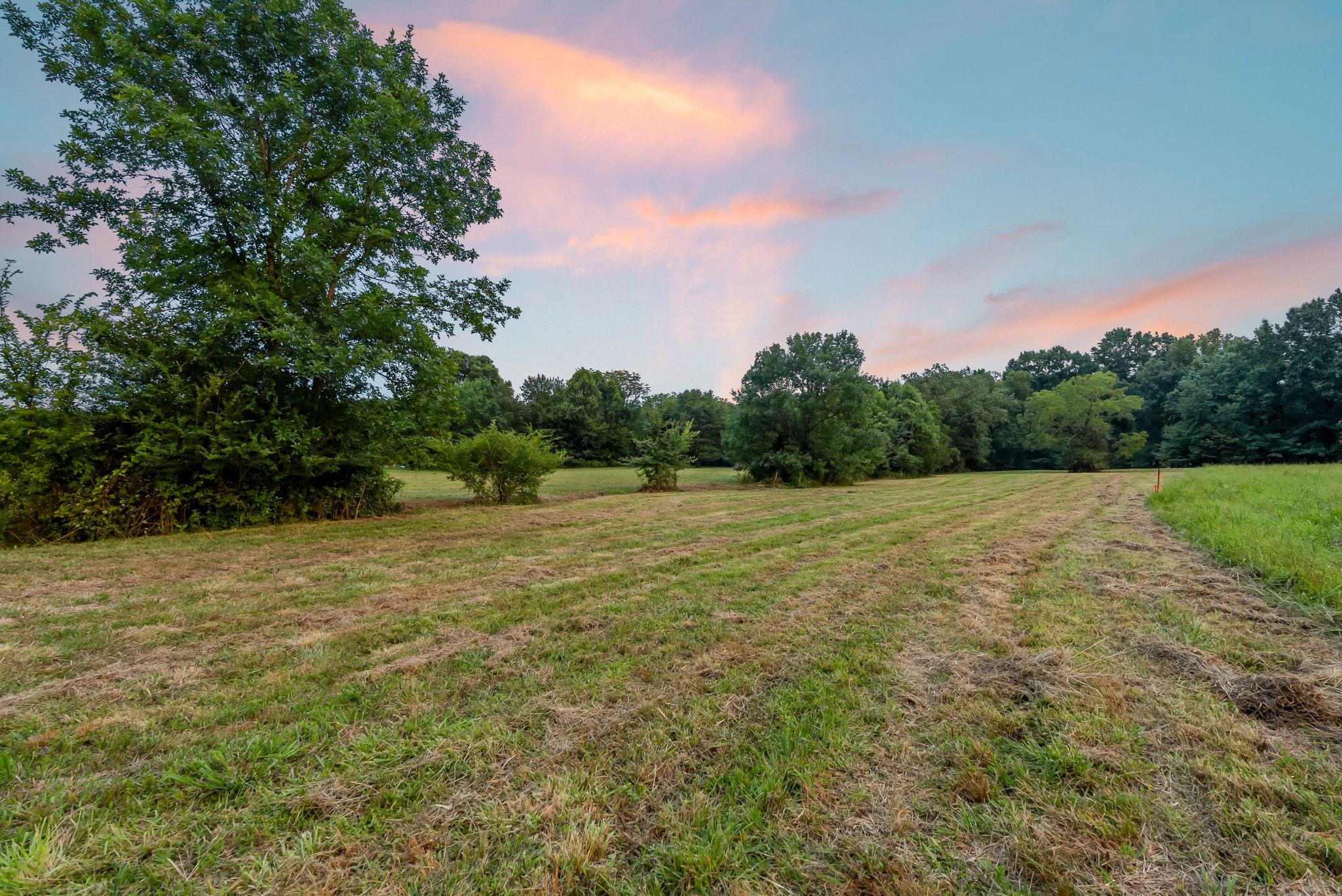 0 Columbia Road Dickson, TN 37055 - Photo 22 of 33
