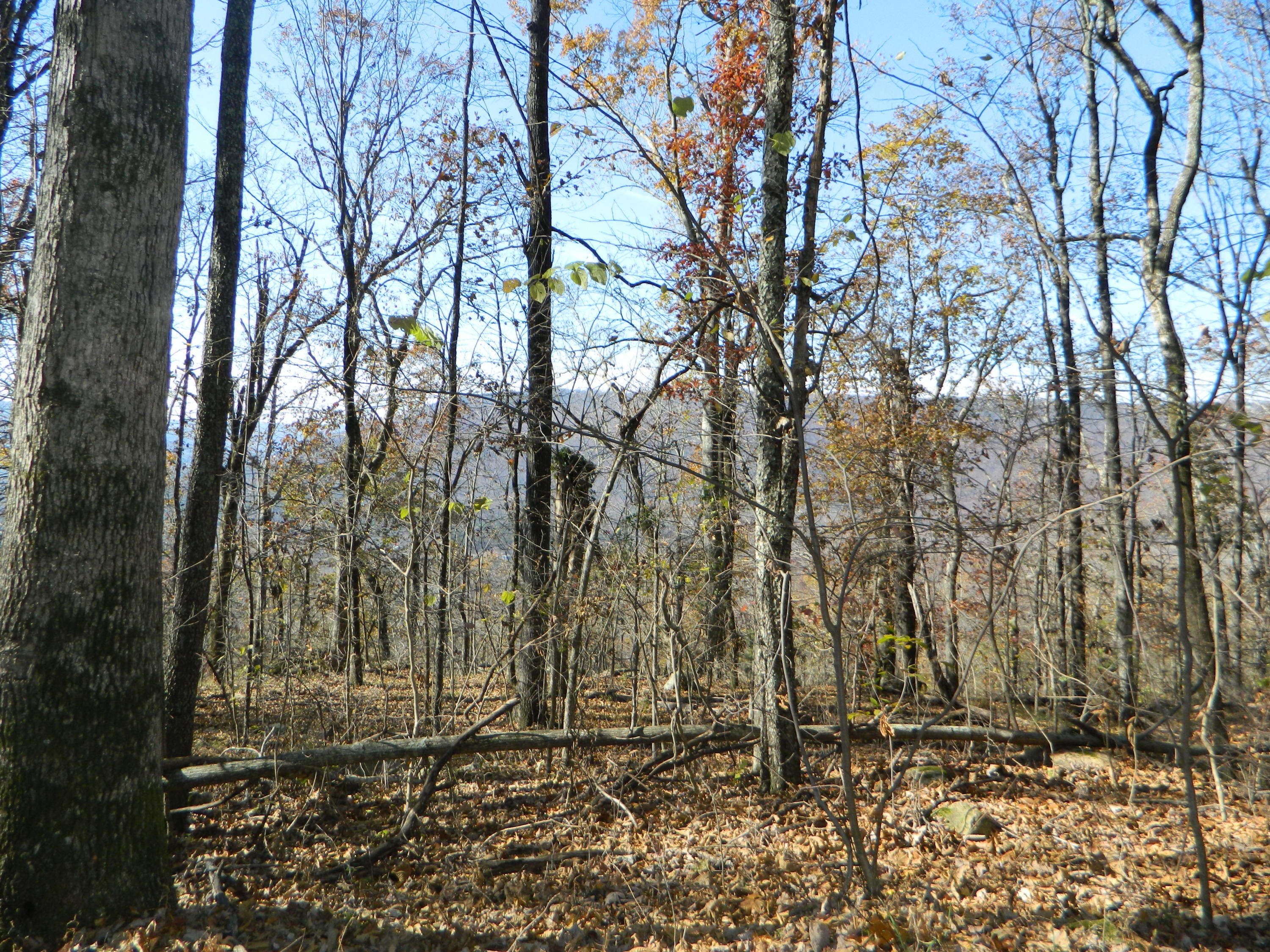 0 Newsome Gap Road, Unit 7 Rising Fawn, GA 30738 - Photo 3 of 17 DSCN2972