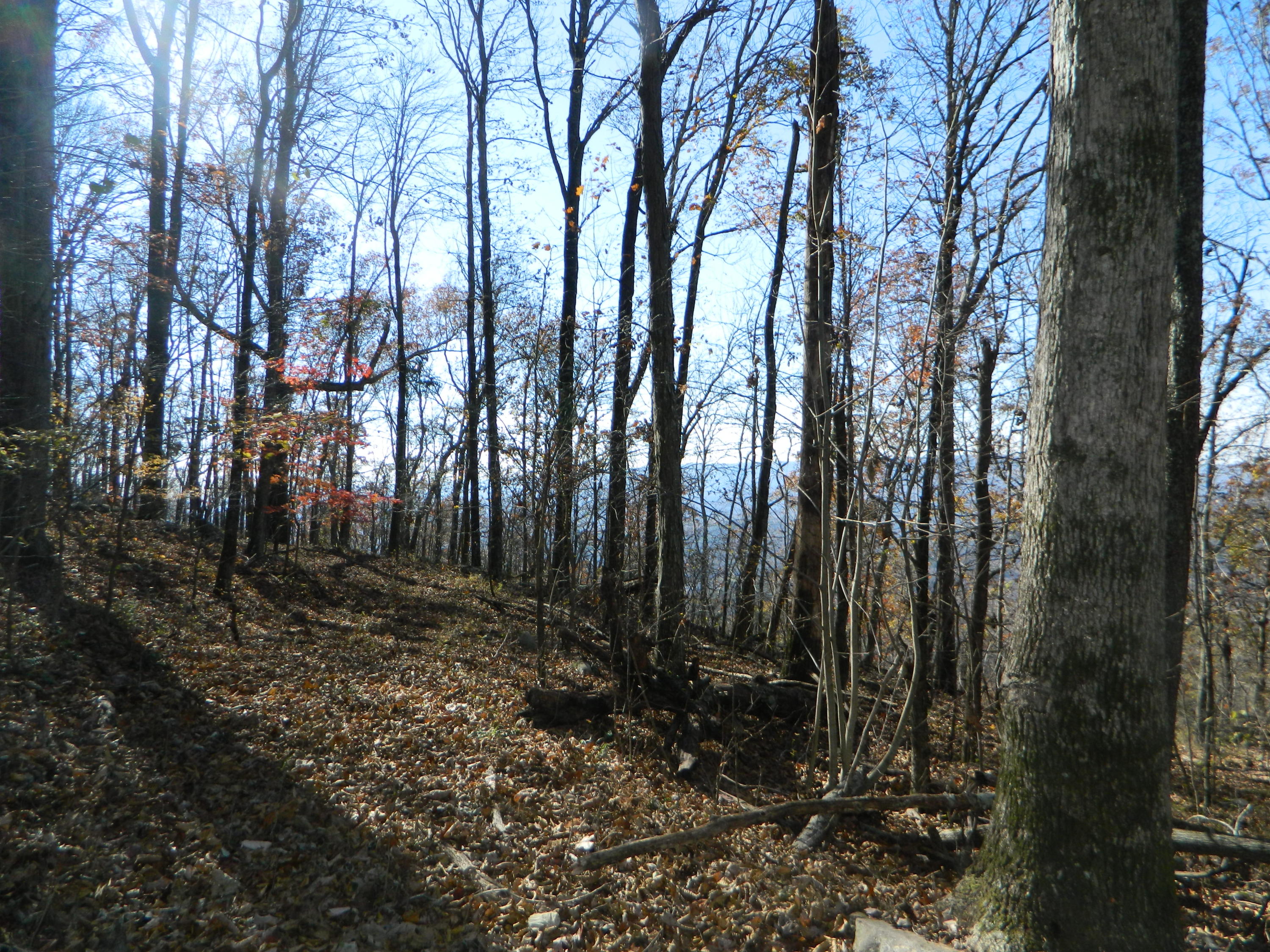 0 Newsome Gap Road, Unit 7 Rising Fawn, GA 30738 - Photo 4 of 17 DSCN2973