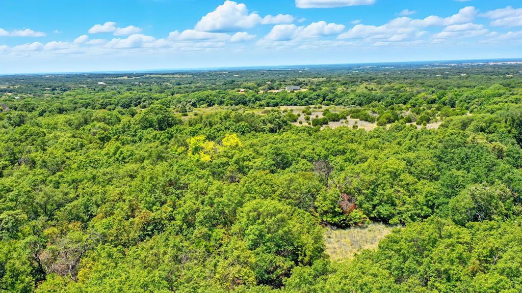395 Pepper Lane Weatherford, TX 76088 - Photo 21 of 24 Aerial view of a forest