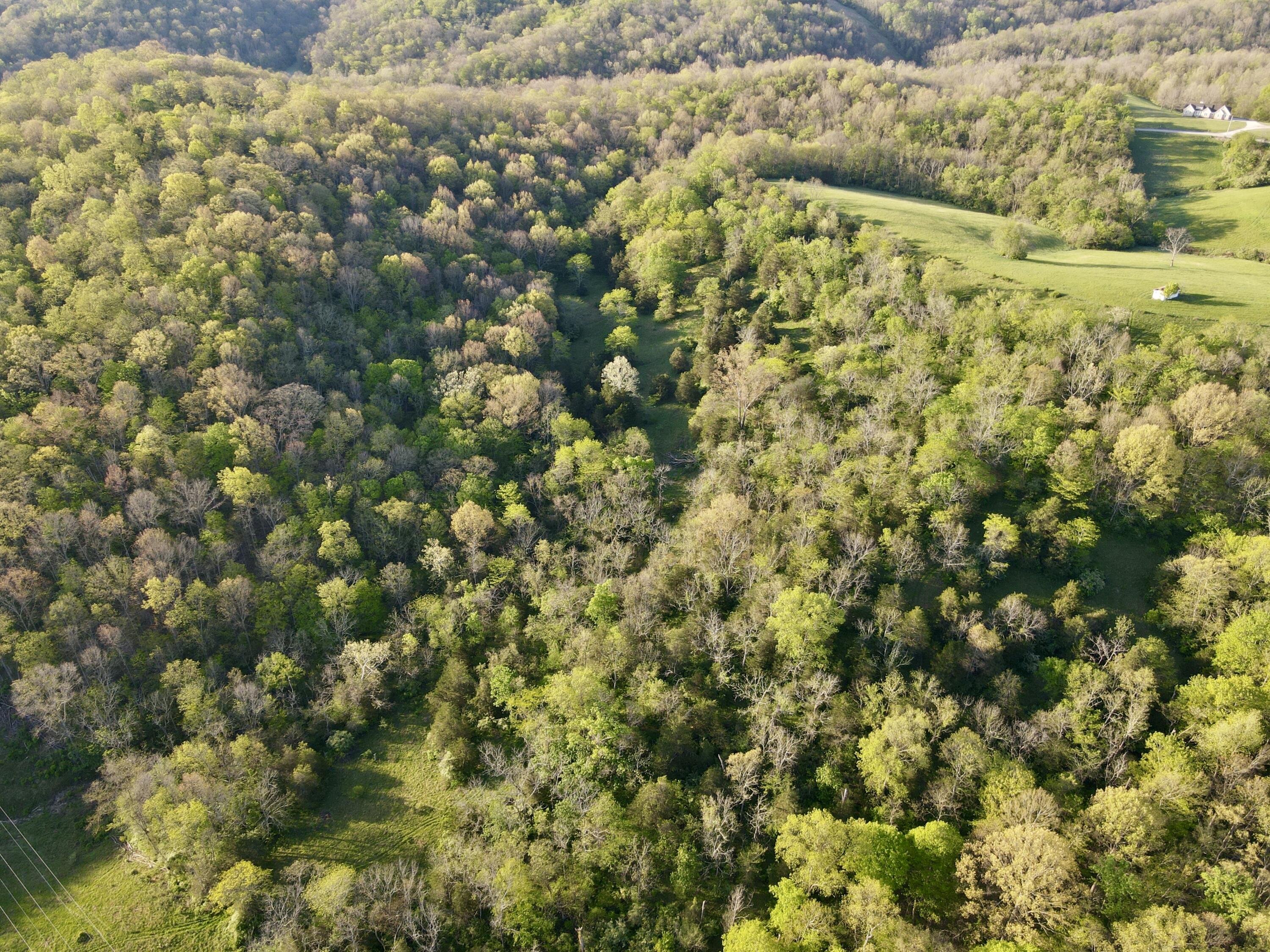 360 Day Hill Road Foster, KY 41043 - Photo 46 of 50