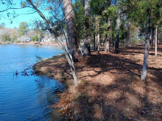 a view of a backyard with large trees