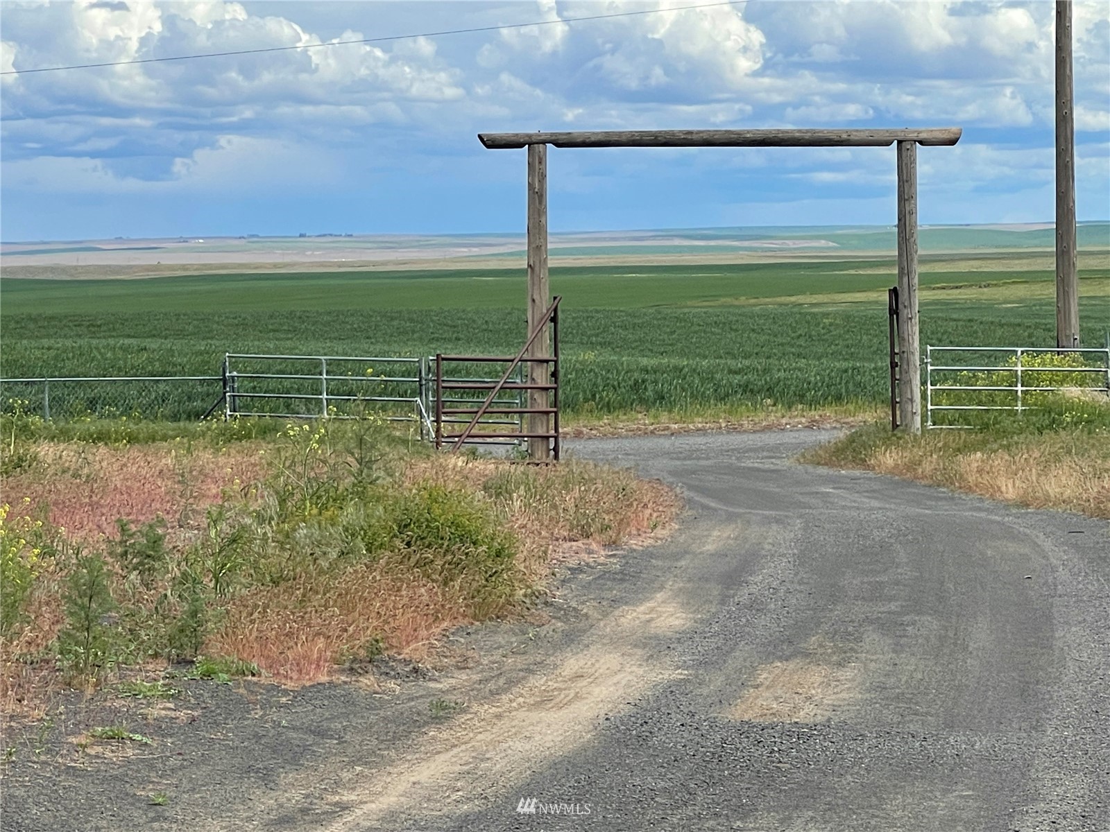 1803 East Tokio Road Ritzville, WA 99169 - Photo 1 of 35 a view of a park with a large trees