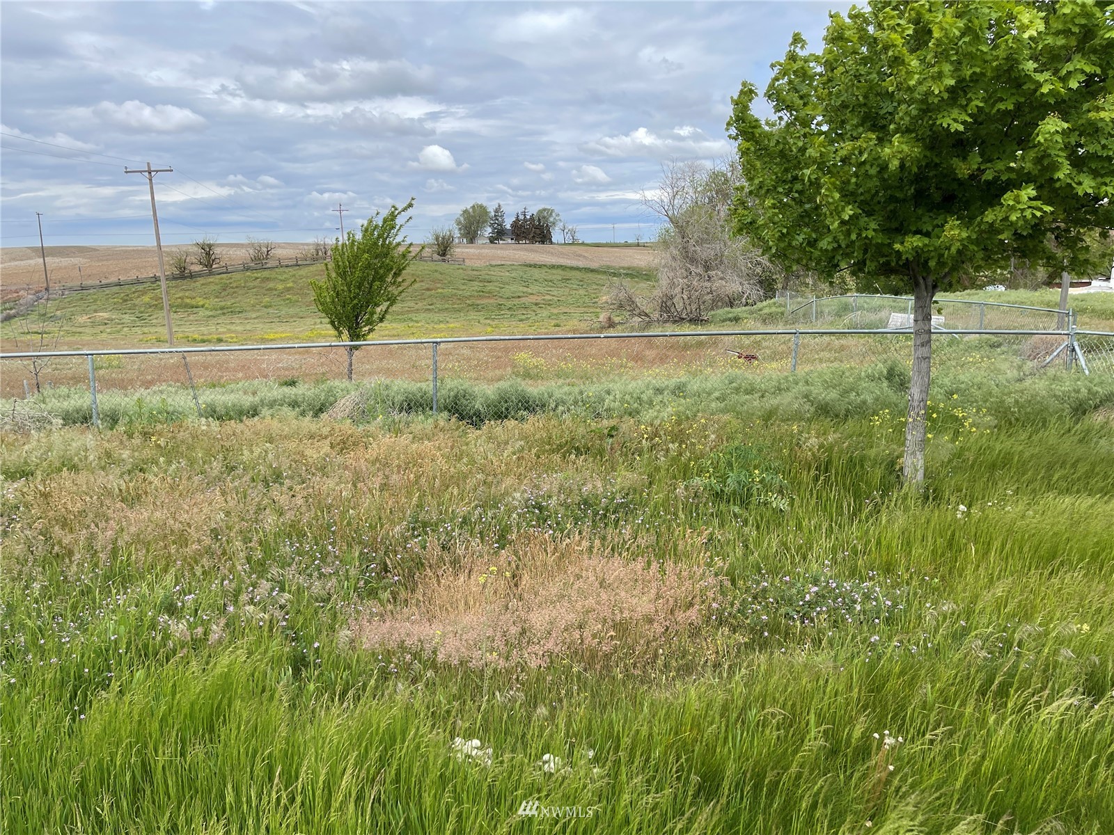 1803 East Tokio Road Ritzville, WA 99169 - Photo 24 of 35 a view of a yard