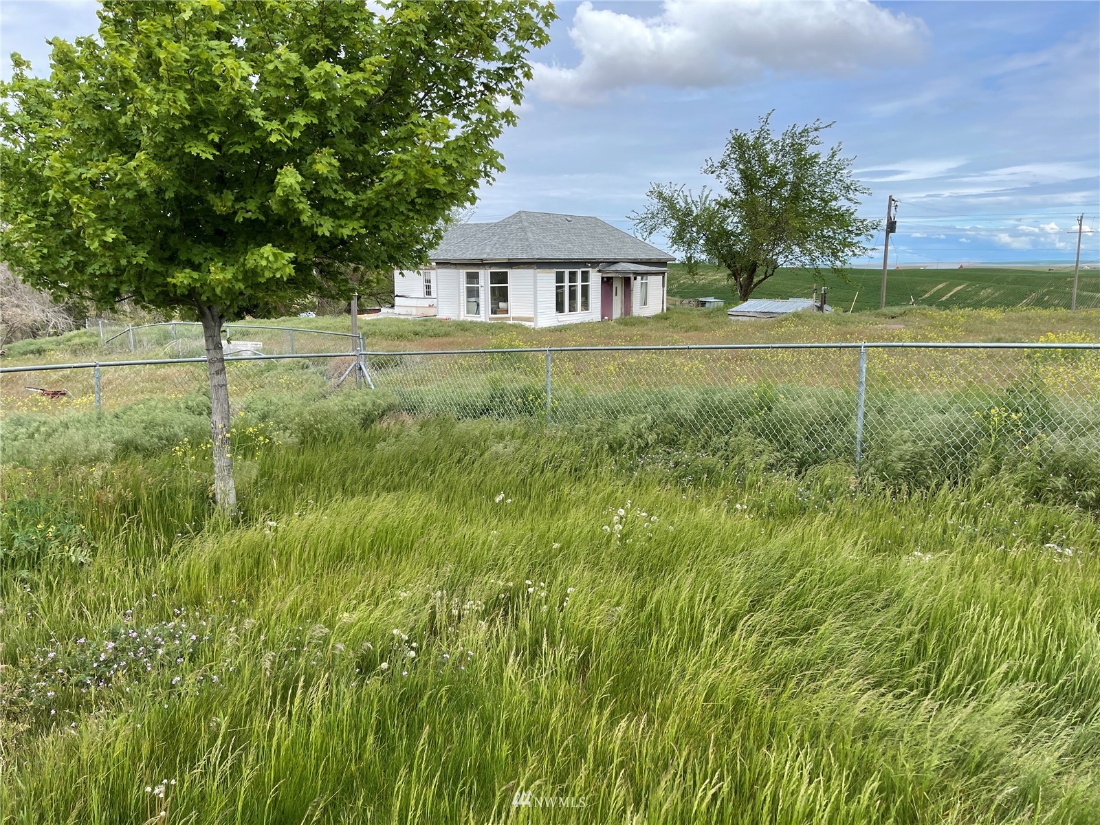 1803 East Tokio Road Ritzville, WA 99169 - Photo 25 of 35 a front view of a house with a yard