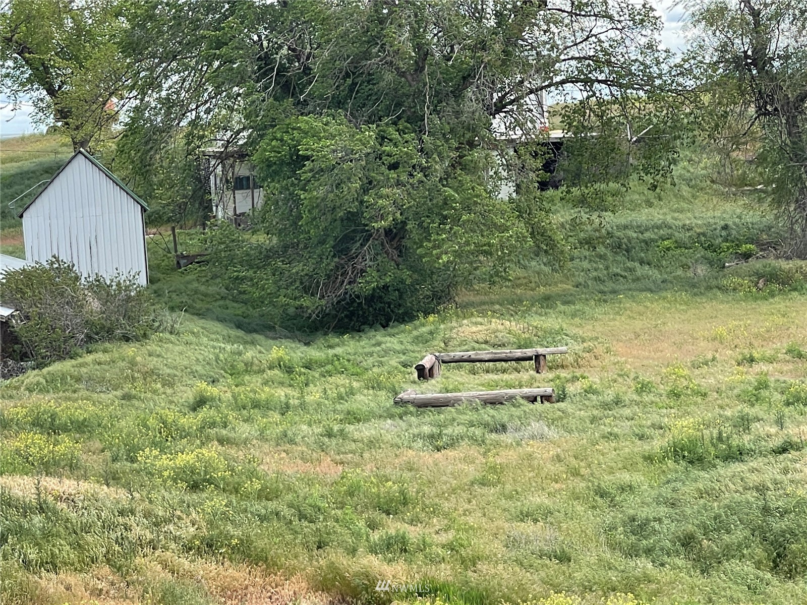 1803 East Tokio Road Ritzville, WA 99169 - Photo 30 of 35 a view of a yard with large trees