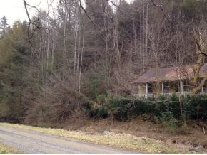 1470 Toms Creek Road Del Rio, TN 37727 - Photo 3 of 10 view from Toms Creek Rd