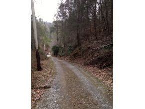 1470 Toms Creek Road Del Rio, TN 37727 - Photo 7 of 10 Drivewayeasement