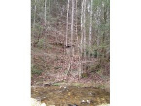 1470 Toms Creek Road Del Rio, TN 37727 - Photo 10 of 10 Photo 10