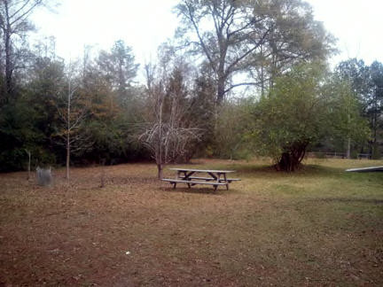 5815 Tangipahoa Road Summit, MS 39666 - Photo 1 of 1 Main View